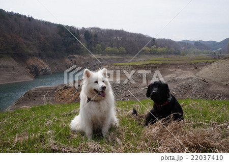 御母衣湖 22037410