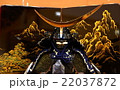 鎧兜人形 22037872