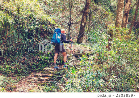 Hike in Nepal jungle 22038597
