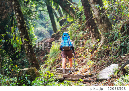 Hike in Nepal jungle 22038598