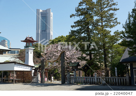 春の伊勢山皇大神宮、境内からランドマークタワーを望む、横浜 22040047