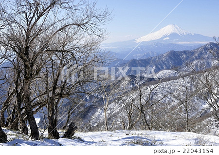 雪の丹沢山山頂から眺める富士山 雪の丹沢山山頂から眺める富士山 22043154