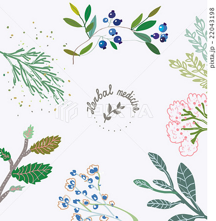 Herbal background for the organic medicine. 22043198