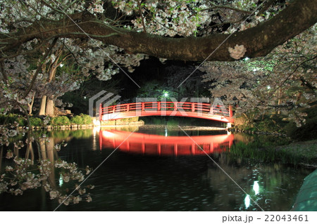 臥竜公園さくらまつり 22043461