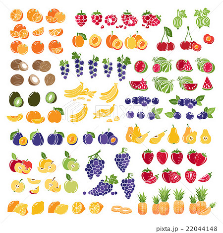 Set of fresh fruits with slice. 22044148