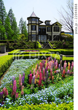 4月都市風景1236ルピナスと外交官の家・山手イタリア山庭園 4月都市風景1236ルピナスと外交官の家・山手イタリア山庭園 22044868