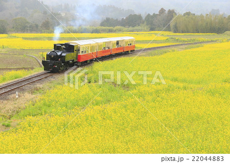 小湊鉄道の里山トロッコ列車 22044883