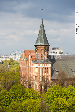 The main attraction of Kaliningrad 22045809