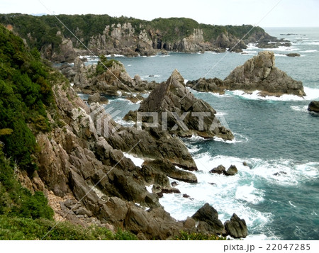 紀伊大島の海金剛 22047285