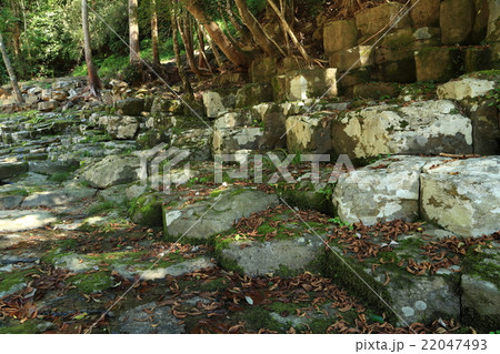 畳ヶ淵 畳ヶ淵 22047493