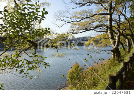 旭川(岡山県岡山市北区) 旭川(岡山県岡山市北区) 22047681