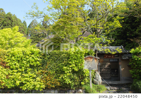 京都　嵯峨野　落柿舎 22048450