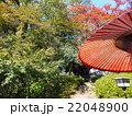 茶屋から見る和の風景 22048900