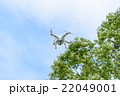 ドローン　森の中　フライト 22049001