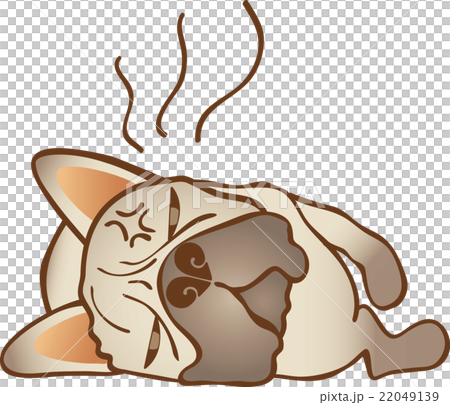 French bulldog 22049139