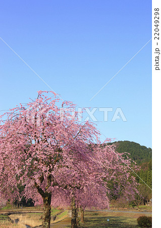 朝倉氏遺跡 22049298