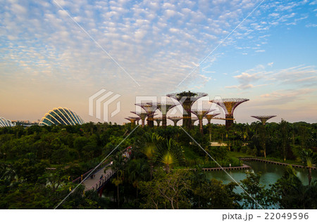 Graden by the Bay in Singapore. Graden by the Bay in Singapore. 22049596
