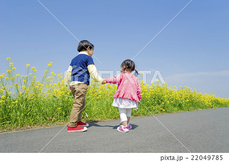 菜の花の咲く遊歩道を歩く子供たちの後ろ姿の写真素材