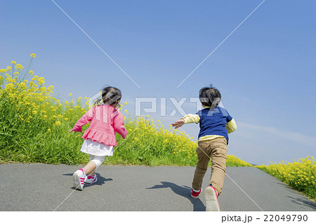 菜の花の咲く遊歩道を走る子供たちの後ろ姿の写真素材