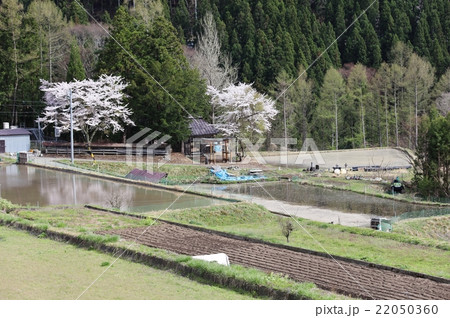田植えの準備 田植えの準備 22050360