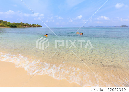Tourists are diving to see the coral reefs 22052349