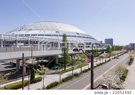 名古屋ドームとハナミズキ 22052392