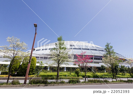 名古屋ドームとハナミズキ 22052393