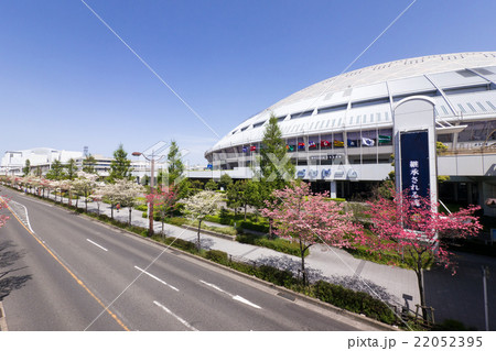 名古屋ドームとハナミズキ 22052395