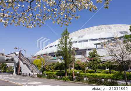 ナゴヤドームとハナミズキ 22052396