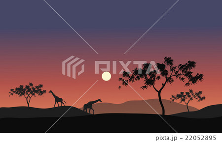 Silhouette illustration of giraffes 22052895