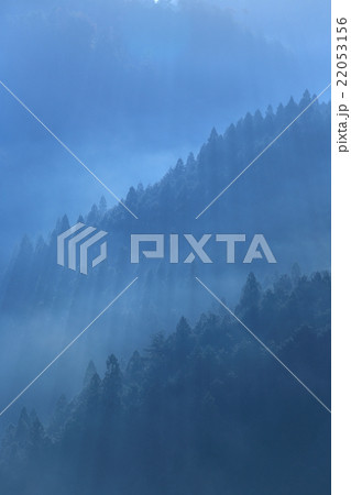 吉野山朝霧 22053156