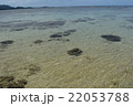石垣島米原ビーチ 22053788