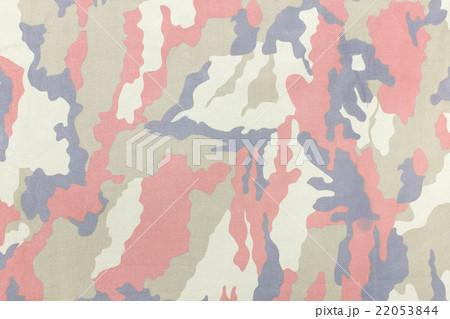 Camouflage pattern and background. 22053844