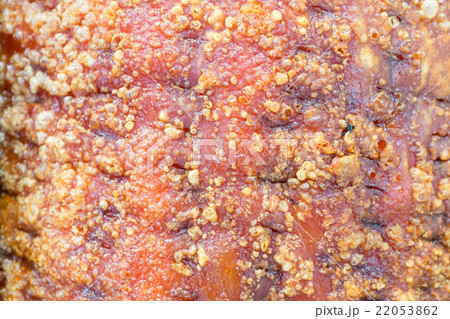 Crispy pork for food texture and background. Crispy pork for food texture and background. 22053862