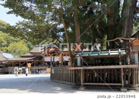 大神神社「巳の神杉」と「拝殿」 22053948