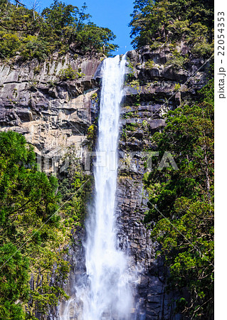 新緑に包まれた那智の滝 22054353