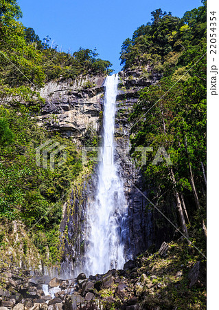新緑に包まれた那智の滝 22054354
