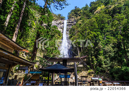 新緑に包まれた那智の滝 22054366