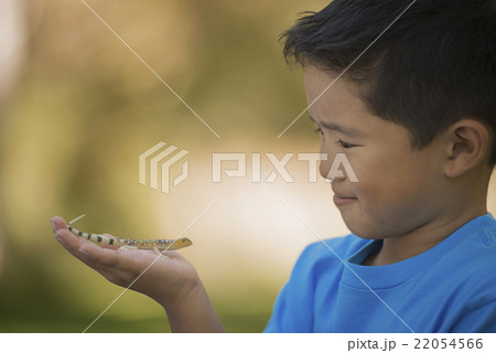 19548 22054566