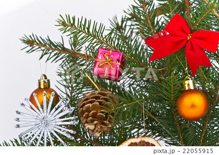 Christmas tree decorated 22055915