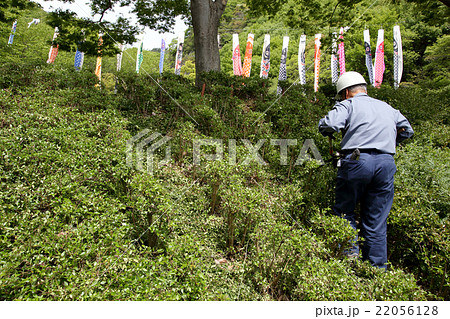 剪定 剪定 22056128