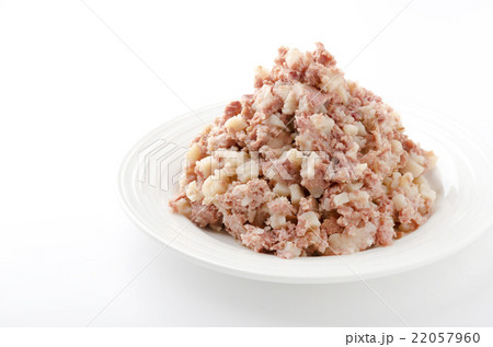 コンビーフハッシュ 22057960