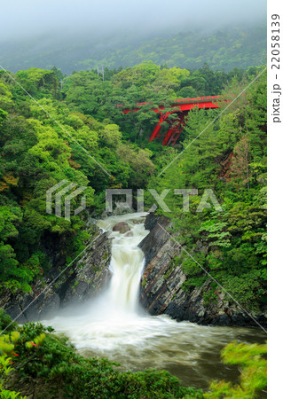 屋久島の珍しい滝 トローキの滝 縦構図 屋久島の珍しい滝 トローキの滝 縦構図 22058139