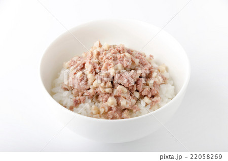 コンビーフハッシュ丼 22058269