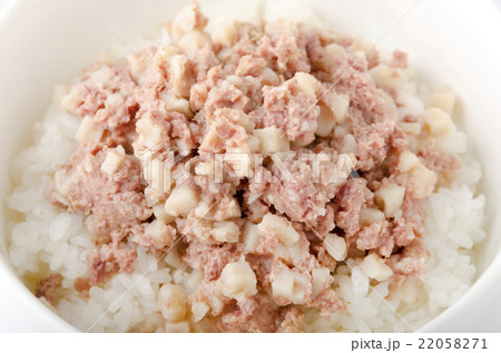コンビーフハッシュ丼 コンビーフハッシュ丼 22058271