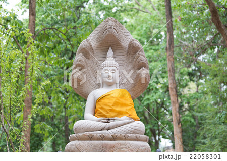 buddha statue in wat umong, chiang mai 22058301