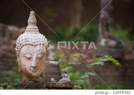 buddha statue in wat umong, chiang mai 22058302
