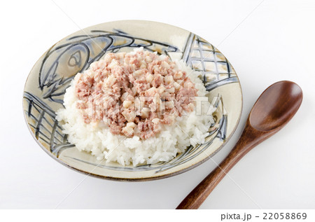 コンビーフハッシュライス 22058869