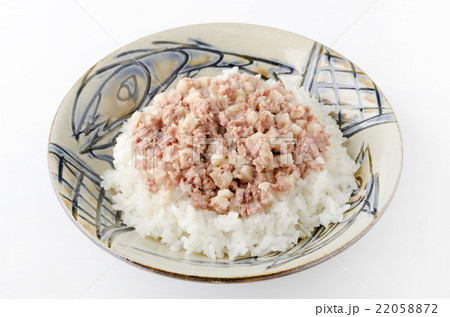 コンビーフハッシュライス 22058872
