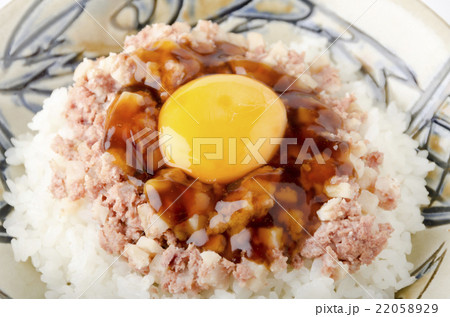 コンビーフハッシュライス甘辛醤油ダレ月見アップ コンビーフハッシュライス甘辛醤油ダレ月見アップ 22058929